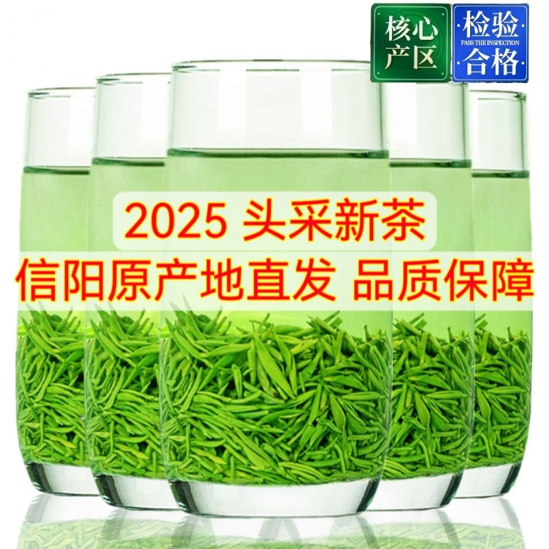 25年新茶信阳毛尖正宗原产地明前嫩芽高山绿茶浓香型500g散装雨前