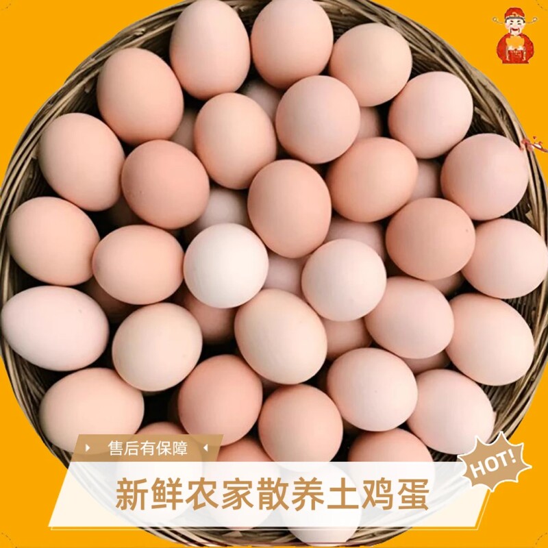 正宗农家土鸡蛋散养草鸡蛋笨鸡蛋新鲜土鸡蛋一整箱批发