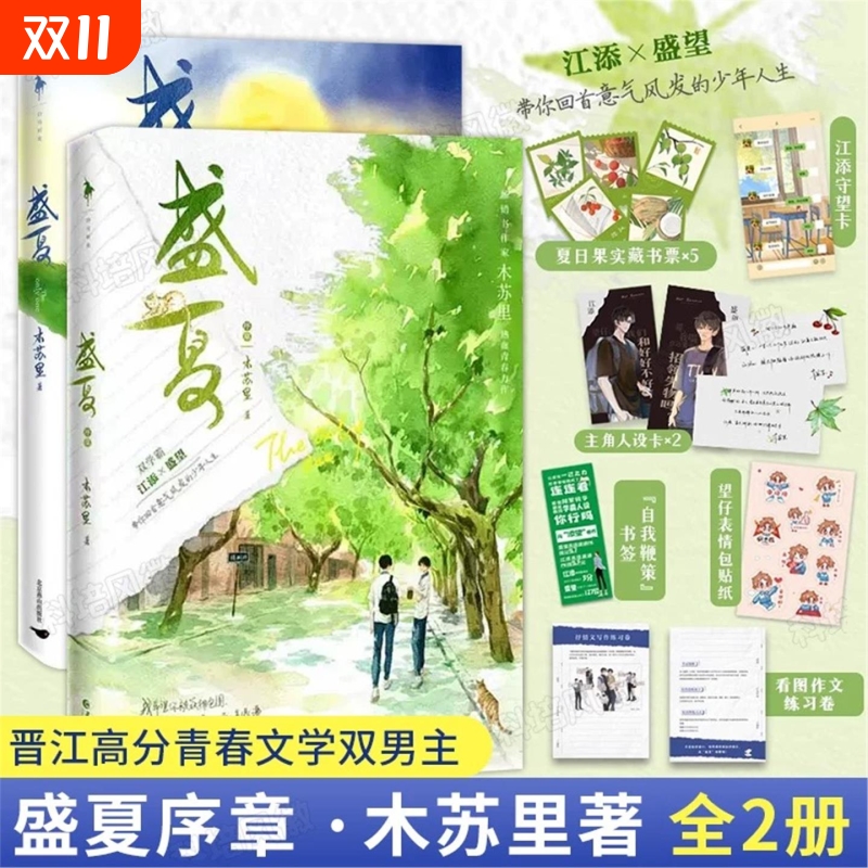 【正版现货速发】盛夏+盛夏序章共2册 木苏里热血青春力作 江添 盛望 盛夏系列篇 晋江校园畅销小说实体书 青春都市言情小说V