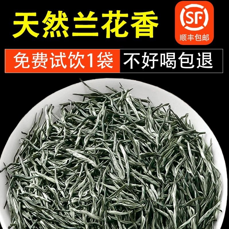 高山阳光绿茶2024新茶叶日照云雾春茶自己喝明前特级嫩芽毛尖浓香