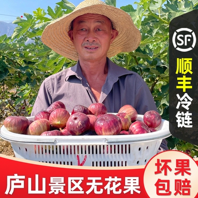 顺丰冷链红皮无花果包邮