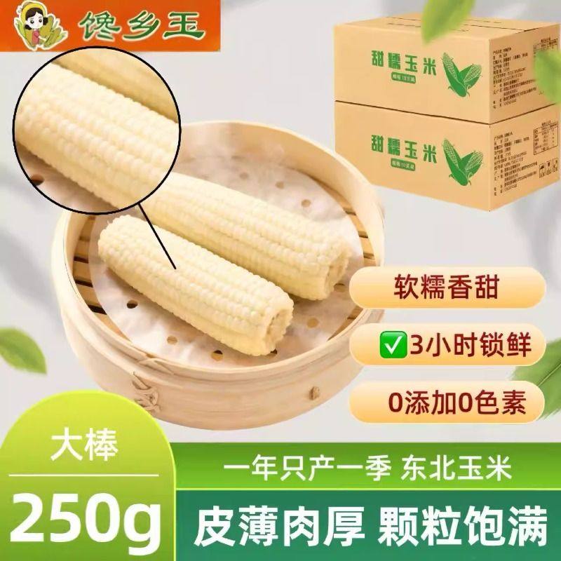 东北糯玉米杂粮25年新白黏玉米东北白糯玉米真空独立包装健康粗粮