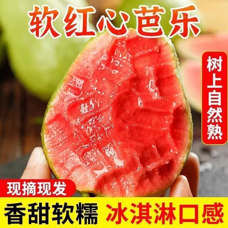 广东红心芭乐软糯番石榴新鲜水果低糖冰淇淋酸香甜籽胭脂红鸡屎果