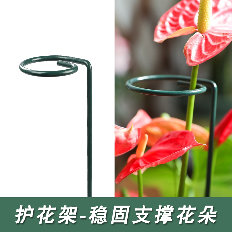 花架子铁艺支撑架室外花园月季花爬藤固定杆植物绣球撑花支架造型
