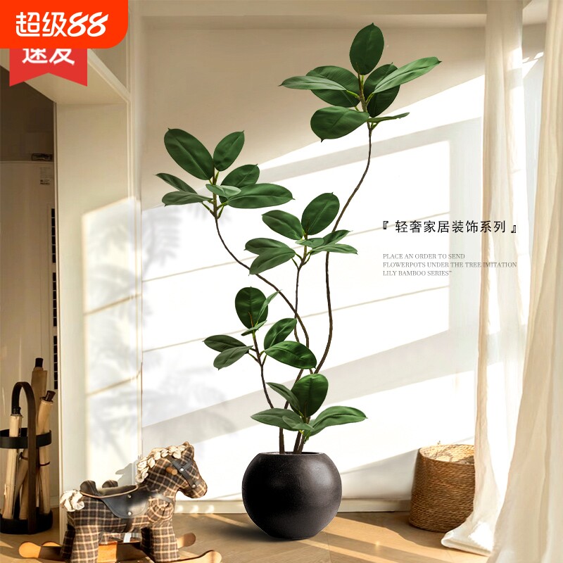 仿真绿植黑金刚|超1.5万次加购图片