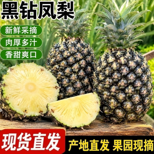 云南黑钻凤梨新鲜水果鲜菠萝当季手撕正宗大果带箱装特产孕妇热带