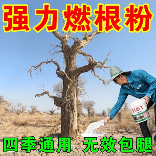 枯i死i专用药正品通用型杂草专用竹子腐燃根王腐蚀剂树园艺肥料F