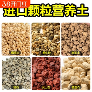 原装进口基质赤玉鹿沼土桐生砂植金石日向石轻石火山石颗粒营养土