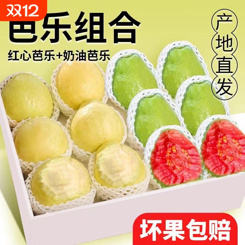 广西双拼红白心奶油冰淇淋芭乐软心软糯新鲜番石榴脆甜鸡屎果批发