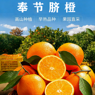 正宗奉节脐橙原产地直发新鲜孕妇时令水果现摘新鲜水果现发甜橙子