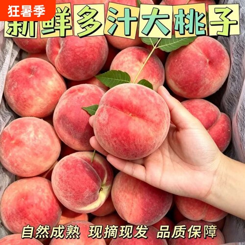 正宗蜜桃青皮桃子新鲜脆桃脆甜多汁硬桃毛桃非水蜜桃桃子整箱包邮