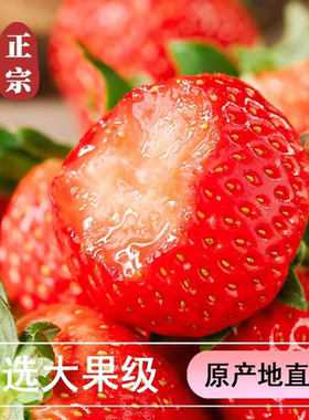 正宗丹东九九草莓超大新鲜应季水果礼盒奶油丹东99草莓果王