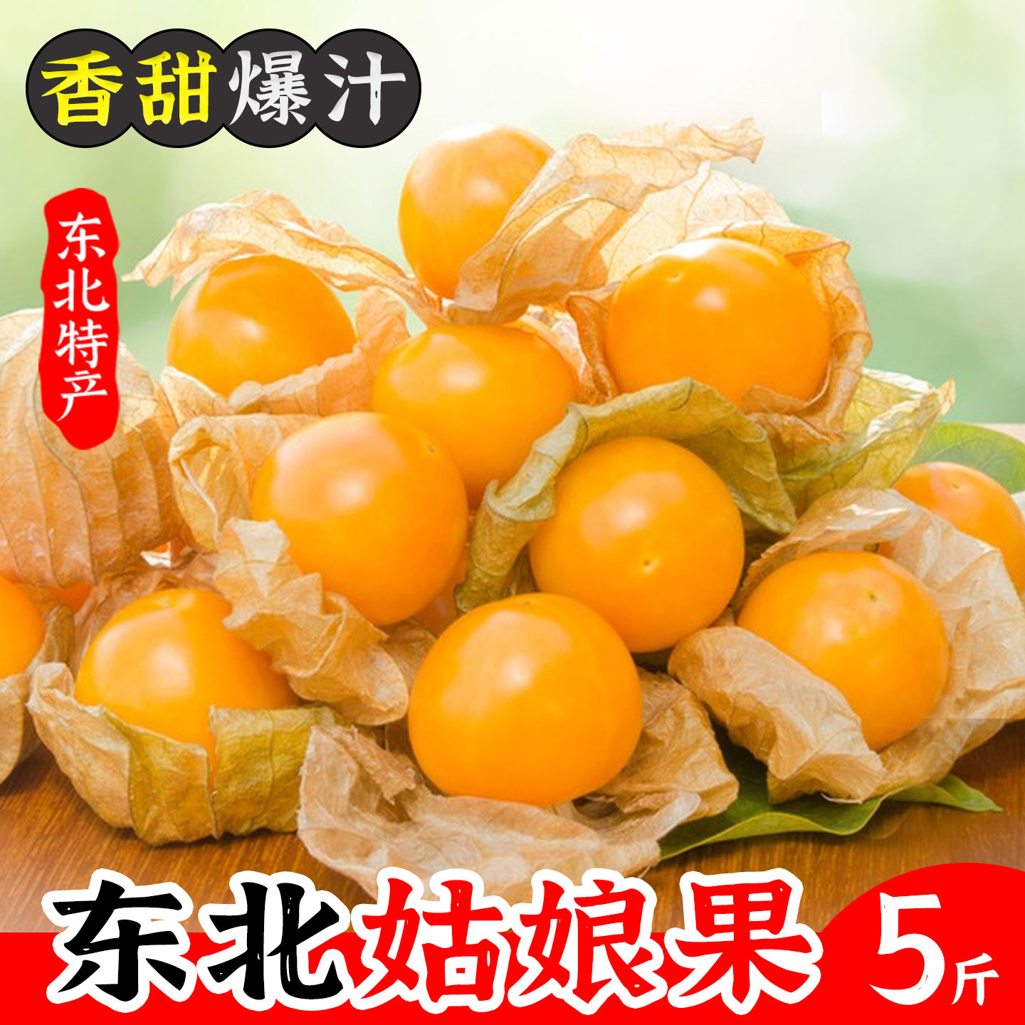 东北姑娘果新鲜菇娘果自然成熟灯笼果现摘现发香甜可口果肉饱满