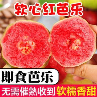 包邮 福建软糯红心芭乐当季 新鲜水果番石榴脆甜软糯胭脂红巴乐整箱
