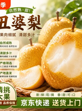 中华软糯丑梨香甜包邮到家