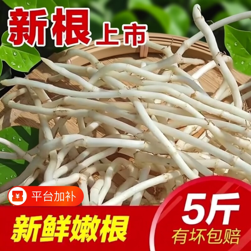 鱼腥草折耳根新鲜嫩芽当季野蔬菜嫩根农家自种凉拌下饭菜即食