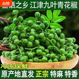 江津九叶青新鲜花椒粒350g袋装调味品小包装青花椒食用保鲜真空