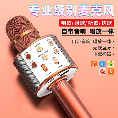 家用通用全民K歌蓝牙话筒麦克风