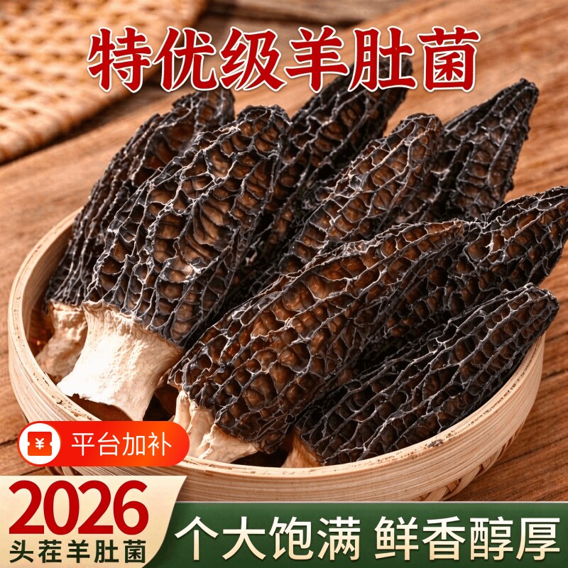 头茬羊肚菌干货新鲜个头大羊肚菇煲汤食材羊肚蘑牛肚菌类羊肚干货