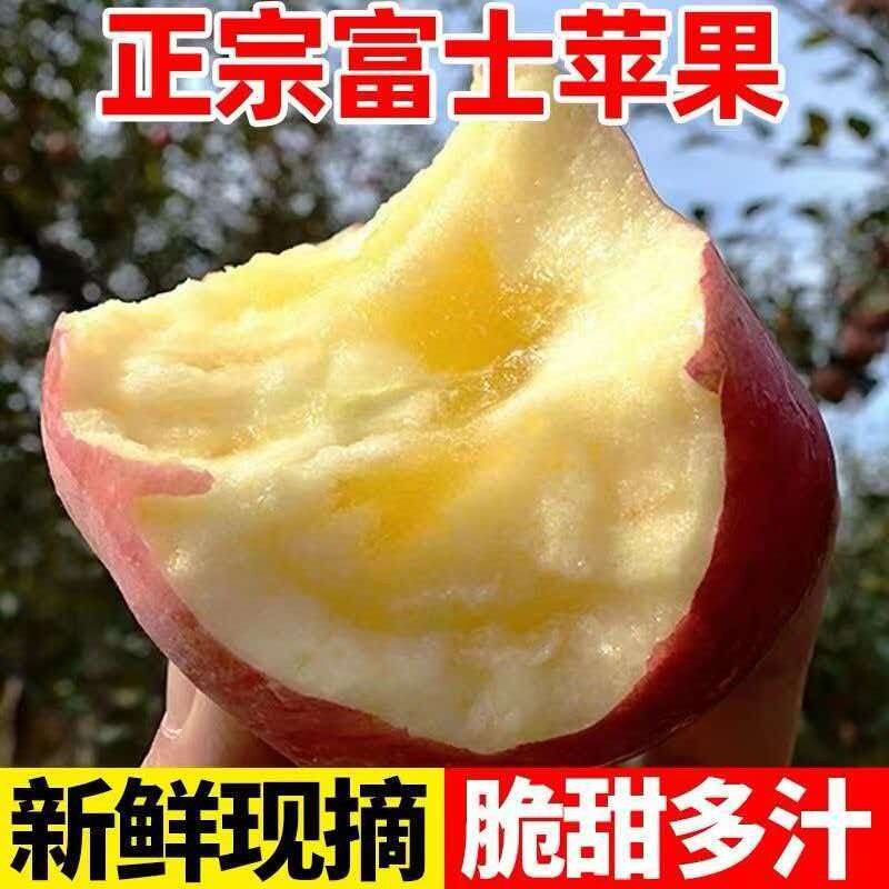 山西正宗冰糖心红富士丑苹果应季新鲜水果整箱包邮脆甜苹果