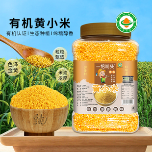 正宗有机黄小米新米东北农家金苗K1小黄米粥米脂醇厚杂粮米可溯源