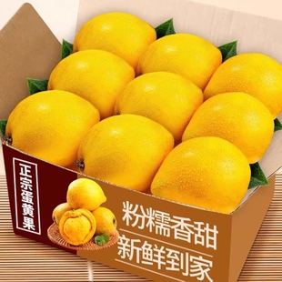 高端蛋黄果新鲜鸡蛋果5斤云南热带水果面包果应季当季整箱批发