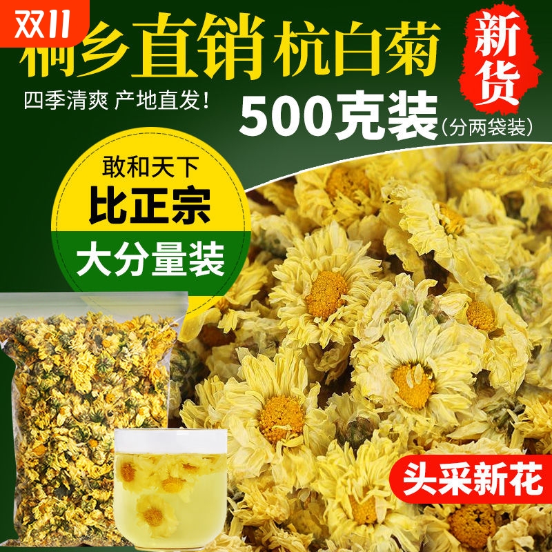 白菊花茶500g花茶特级正品桐乡贡杭白菊茶胎菊王中药材官方旗舰店