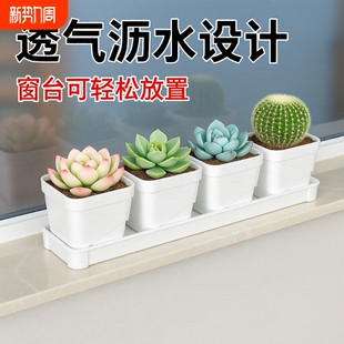 养多肉花盆透气塑料小方盆栽猫草草专用小盆托阳台窗台种植大口径