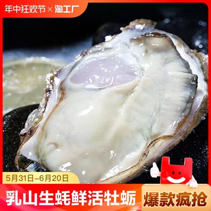 乳山生蚝鲜活牡蛎海鲜水产贝类海蛎子肉大带壳新鲜即食超大