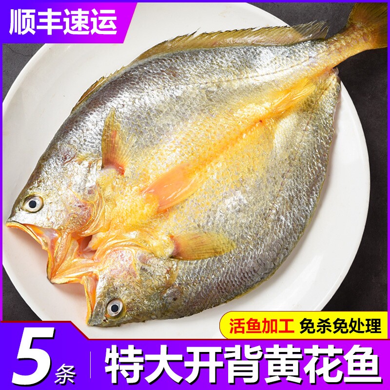 福建宁德霞浦黄鱼鲞新鲜黄花鱼大黄鱼三去小黄鱼海鲜海鱼冷冻水产图片