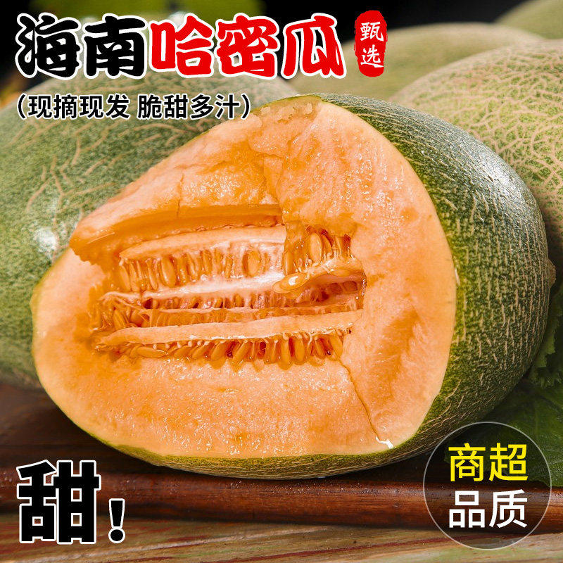 【爆甜】正宗海南哈密瓜网纹蜜瓜薄皮爆甜新鲜水果当季整箱,水产肉类/新鲜蔬果/熟食,哈密瓜,淘宝优惠券,粉丝福利购,淘宝优惠卷