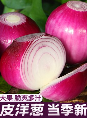 正宗现挖紫皮洋葱新鲜