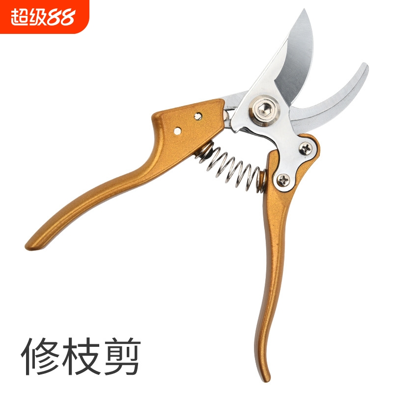 {卖点}