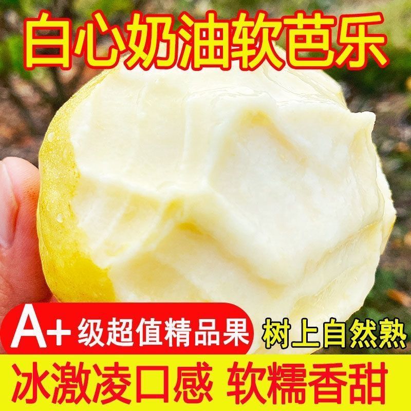 广东软糯奶油芭乐番石榴软芯新鲜小香果果园现摘鸡屎果孕妇水果