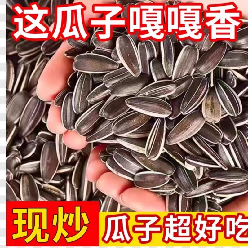 新货原味瓜子大颗粒内蒙古炒熟葵瓜子五香年货坚果零食散装葵花籽