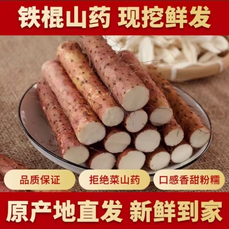 新鲜铁棍山药河南焦作温县正宗垆土铁棍山药铁杆铁棒怀淮山五斤装