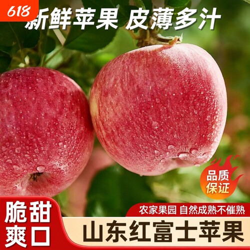 山东红富士苹果新鲜自然熟