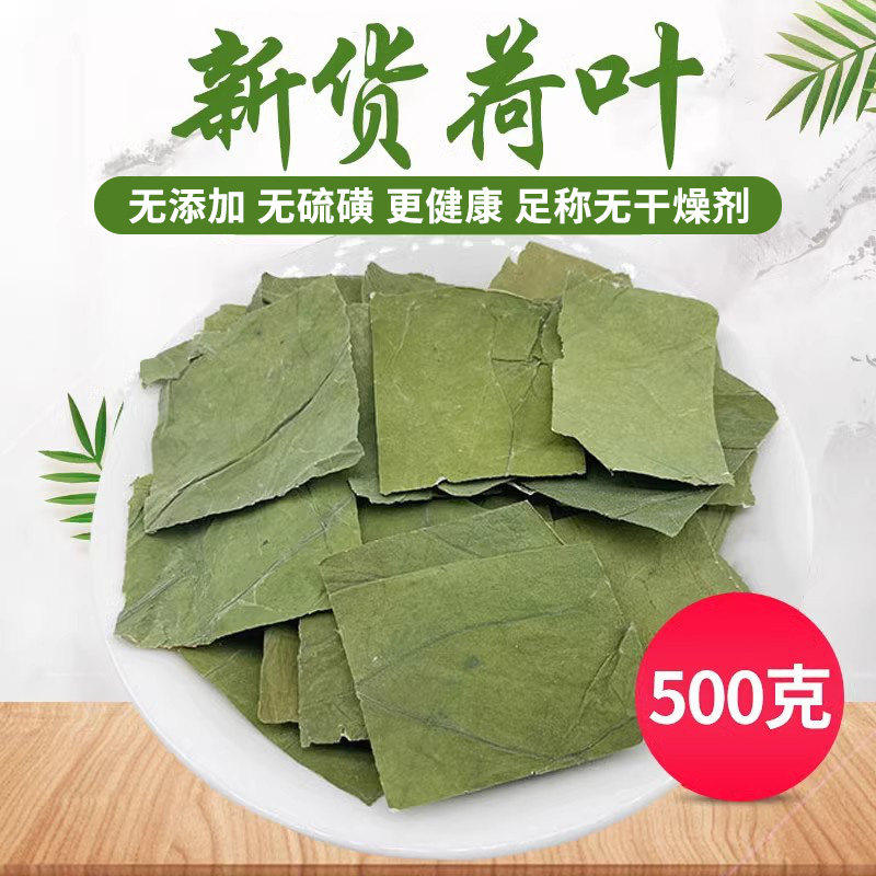本茶记中药材新鲜荷叶无硫天然方片 荷叶茶干荷叶片完整无碎500克