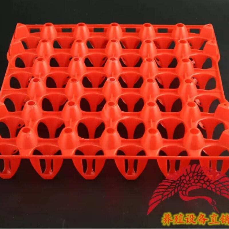 新料30枚塑料鸡蛋托/鸡蛋盒蛋箱配套/孵化托盘鸡蛋包装10个包邮
