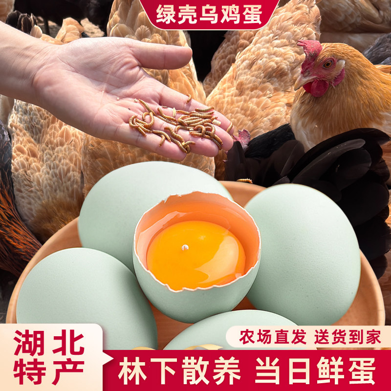 农家散养乌鸡蛋新鲜现捡现发