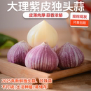云南大理紫皮优质独头蒜珍珠蒜圆头薄皮泡醋新鲜蒜食用不打熏硫