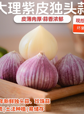 云南大理紫皮优质独头蒜珍珠蒜圆头薄皮泡醋新鲜蒜食用不打熏硫