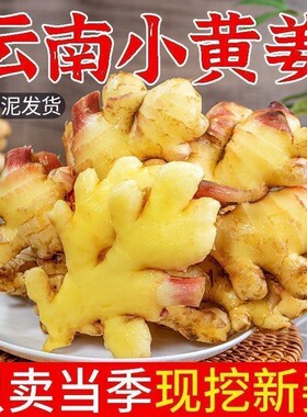 生姜老姜云南小黄姜3斤5斤9斤新鲜现挖高山沙姜土姜种子蔬菜食用