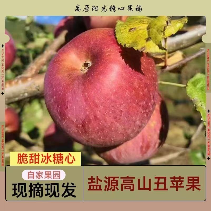 正宗大凉山盐源糖心丑苹果4.5斤