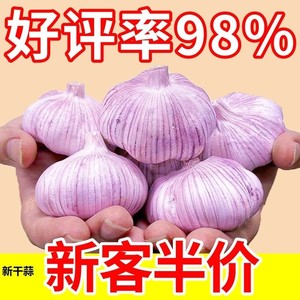 山东新晒紫皮蒜头【带头降价】