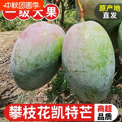 四川攀枝花凯特芒果9斤新鲜凯特芒水果当季应季鲜果王自然熟