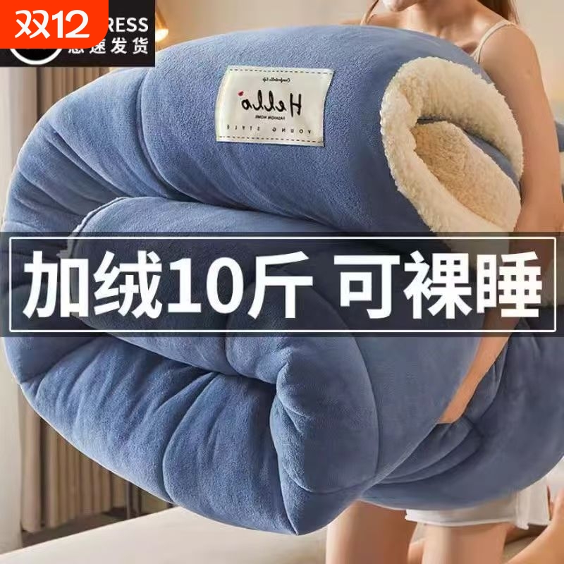 牛奶羊羔绒毛毯加厚保暖冬季被子午睡沙发盖毯被芯棉被冬被春秋被