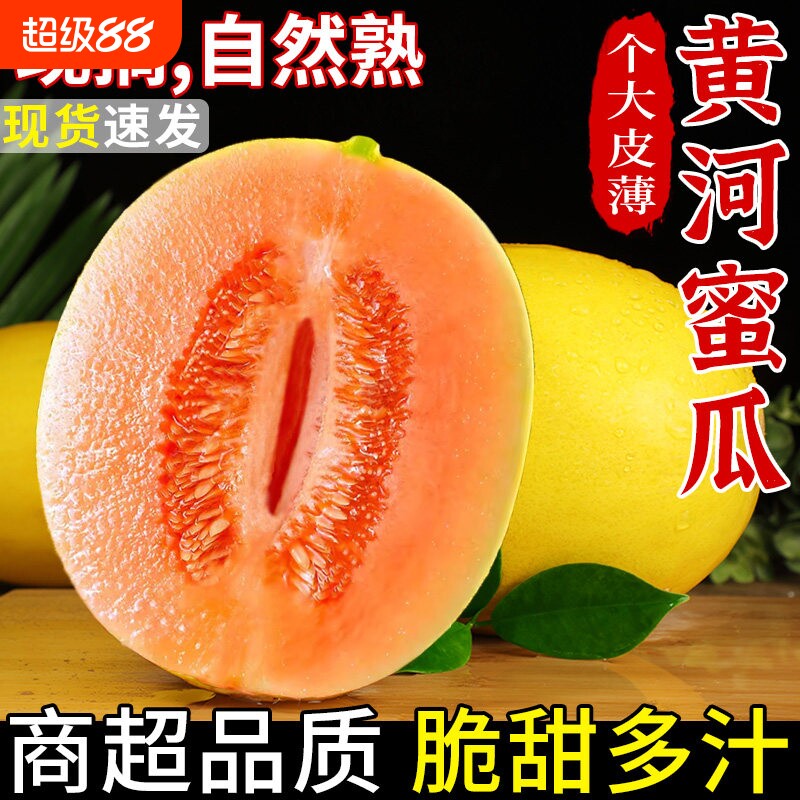 黄河蜜瓜甜瓜新鲜水果应当季整箱图片