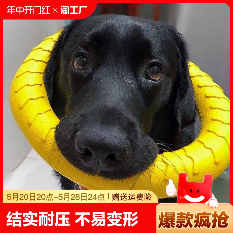 狗狗玩具大型犬圆环飞盘边牧发声拉力环磨牙耐咬解闷神器宠物玩具 宠物/宠物食品及用品 橡胶球/球形玩具 原图主图