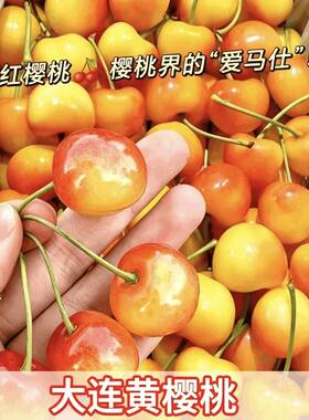大连黄金大樱桃新鲜水果4j国产车厘子佳红美早礼盒5j雷尼尔黄蜜甜